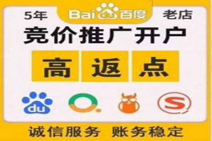 百度SEO推广：从零到一的成长案例